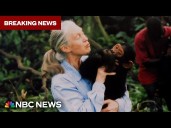 Remembering Jane Goodall: Renowned chimpanzee researcher dead at 91