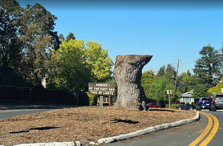 UPDATE: Hospice Tree Of Lights Gone In Martinez After Weekend Collapse