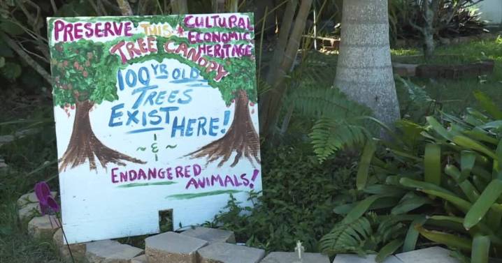 Lake Worth Beach takes step to align zoning with future land use plan