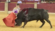 Un bravo remiendo de Pincha no tapa otro desastre ganadero en la Feria del Pilar