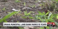 Omaha Municipal Land Bank marks 10 years