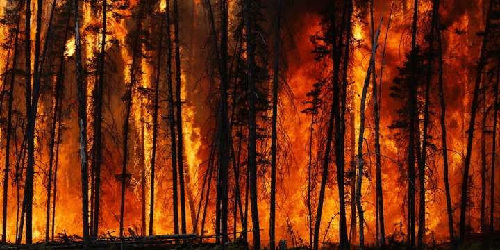En Perú, se han quemado suficientes bosques desde 2013 como para destruir diez Lima Metropolitana, alerta MapBiomas