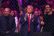'Growing disillusionment': Sports bros step in as podcasters abandon Trump in droves