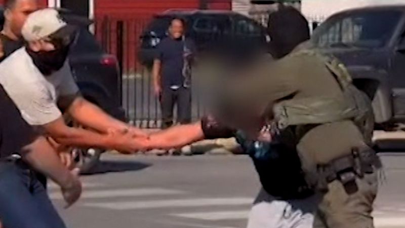 Bystanders in Chicago help stop US Border Patrol from detaining man