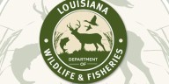 Fort Polk-Vernon, Fort Polk North WMAs closed until further notice