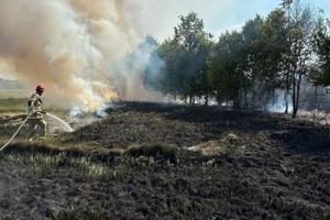 Beech Grove firefighters handled a wildfire