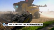 'The clock is ticking,' Michiana farmers might see soybean surplus spoiled by Trade War