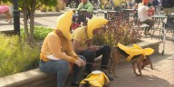 Pup N’ Pints Halloween Peoria Heights fundraiser aims to help pet owners with medical bills