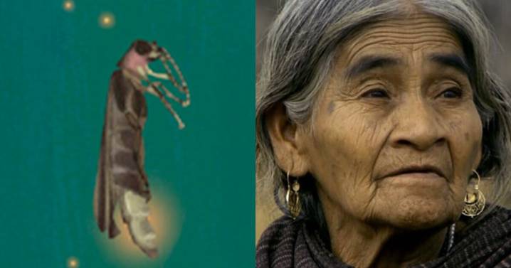 ¡María Sabina! es el nombre célebre para la luciérnaga descubierta en Chapultepec