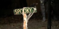 A spooky chill in the air: Sarasota’s rare cool Halloween is coming!