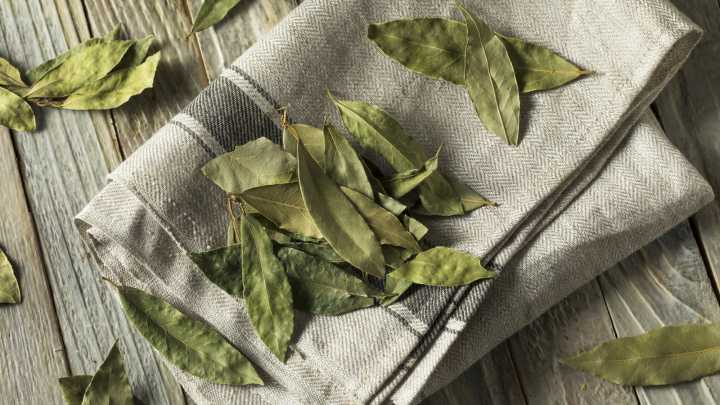 Can Bay Leaves Help Whiten Laundry? Here's What We Found