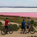 Medio Ambiente organiza la primera ruta guiada en bicicleta del otoño