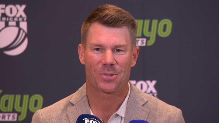 The Ashes, David Warner comments