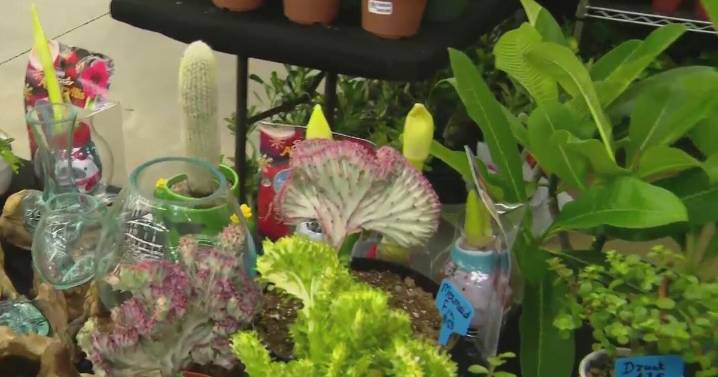 Largest plant convention in the world, PlantCon 2025, wraps in Dallas
