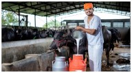 India's Dairy Sector Poised For Growth With Inauguration Of Projects Worth ₹947 Crore, Enhancing Self