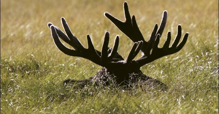 Postseason Game Discussion, #21