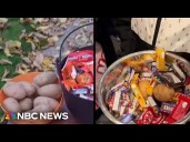 Some trick-or-treaters picking potatoes over candy 