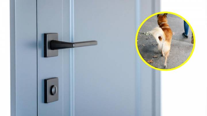 Sus vecinas le dejaron excremento de perro en la puerta: Corte Suprema confirmó indemnización de $2 millones