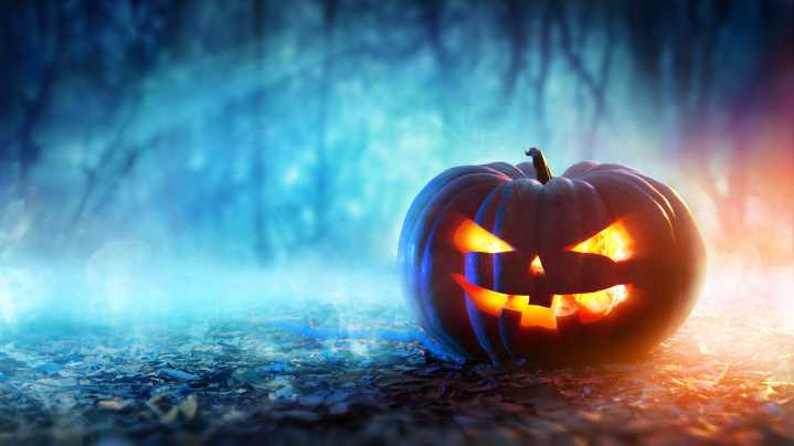Halloween isn't just for kids