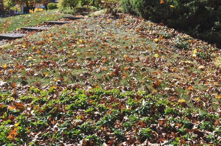 10 end-of-season yard jobs you don’t want to ignore