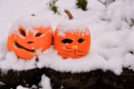 Freeze Warning in Effect for Yakima Valley: Tuesday, October 14th