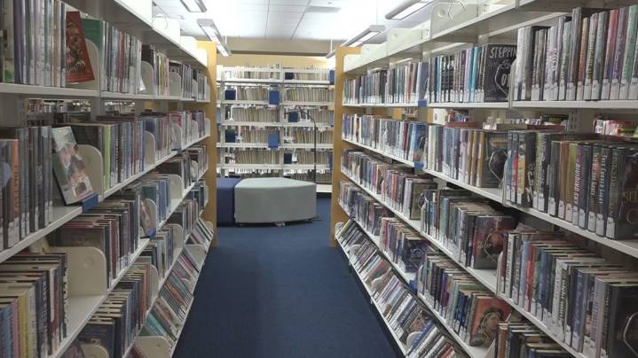Greenville library pushes back on AI