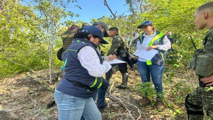 CAR incauta motosierra y protege 22 árboles nativos en bosque seco del río Magdalena