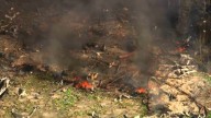 Explosión en una fábrica de EE UU, en directo: muertos, desaparecidos y última hora