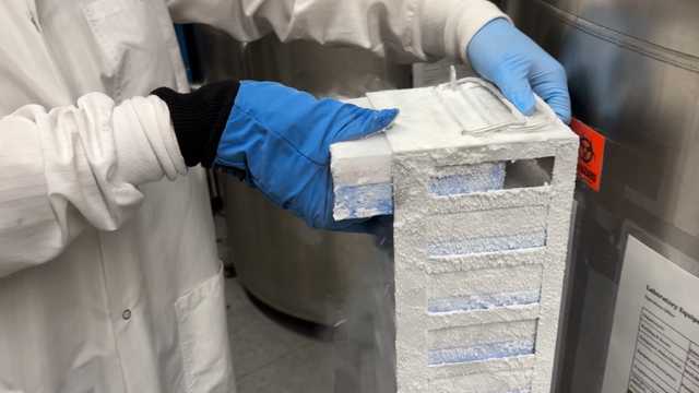 After funding halt, Harvard nurses health study scrambles to save 50 years of samples