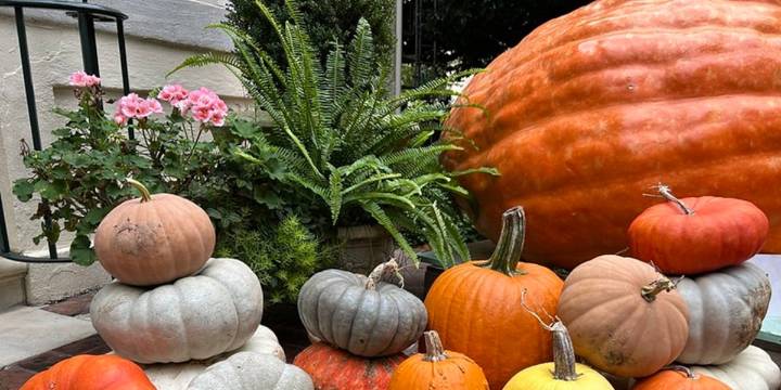 Appomattox farm delivers grown pumpkins to Virginia’s Executive Mansion
