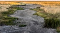 La Forestal y La Casado: historias paralelas