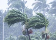 Ante el inminente impacto de Melissa, alertas, solidarios y disciplinados