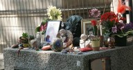 Why this Paris cemetery is a must