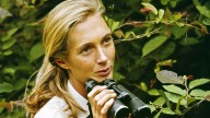 Jane Goodall, Celebrated Primatologist and Conservationist, Dead at 91