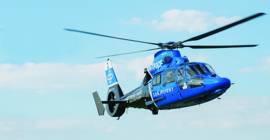 Man trimming trees reportedly electrocuted in Shelby County