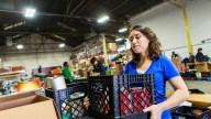 Despensas gratis en Florida: organizaciones prevén que el cierre del gobierno afectará al servicio