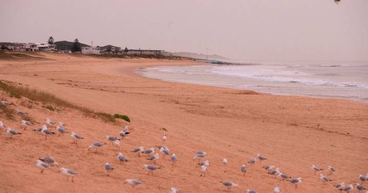 Ex cop begs for truth to be told over Brit girl who went missing from Australia beach