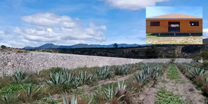 Clausuran obras ilegales dentro del Monumento Natural Yagul en Oaxaca