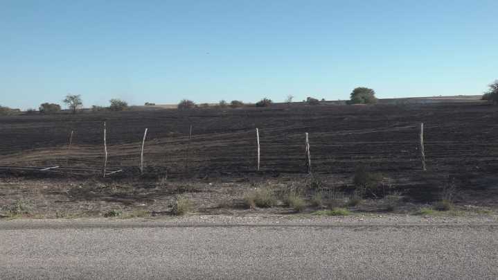 Wildfire burns hundreds of acres in Bell County; multiple agencies respond