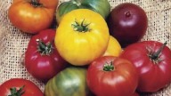 Power of Produce Club uses fruits and vegetables to build healthier communities