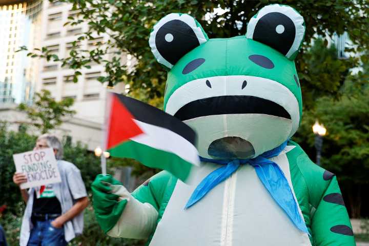 Who is the viral Portland frog? What to know about the costumed protester (Video)