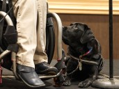 Ability Center graduates assistance dogs, their masters