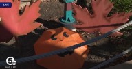 Akron Zoo's refreshed Boo at the Zoo is underway now