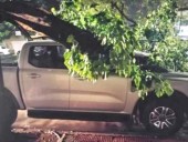 Fuerte temporal azotó Junín: daños en viviendas y una familia evacuada