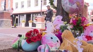 Girl, 3, struck and killed on Winchester’s pedestrian mall