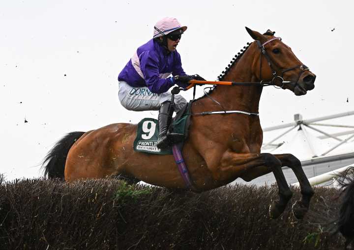 Jasko to give Cheltenham backers good opening Rodeo