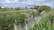 Aparece en una acequia el cadáver de un hombre que había desaparecido en Casetas