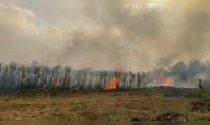How much of Delhi’s pollution comes from stubble burning