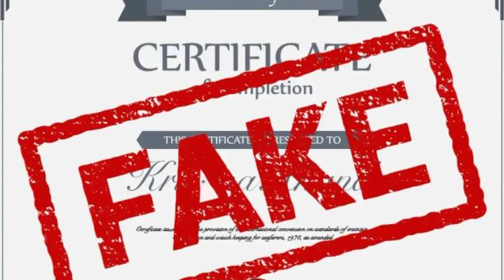 Odisha: One more lecturer under scanner for securing job with fake certificates; suspended