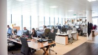 'Tribe' Vibes At Workplace